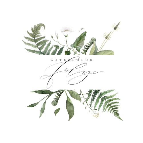 Watercolor Greenery Clipart Green Leaves Png Wedding - Etsy