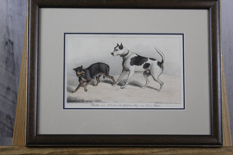 Antique Book Plate of Two Dogs-Clinker the Half Breed Dog /& a Terrier Bitch