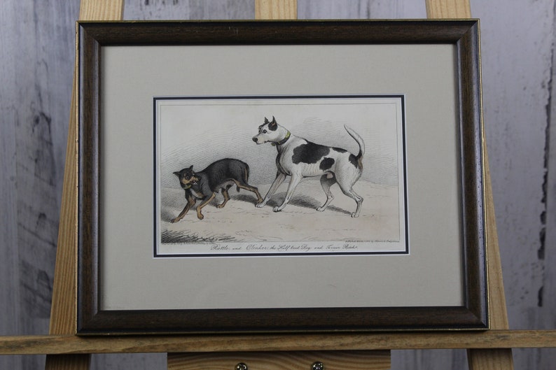 Antique Book Plate of Two Dogs-Clinker the Half Breed Dog /& a Terrier Bitch