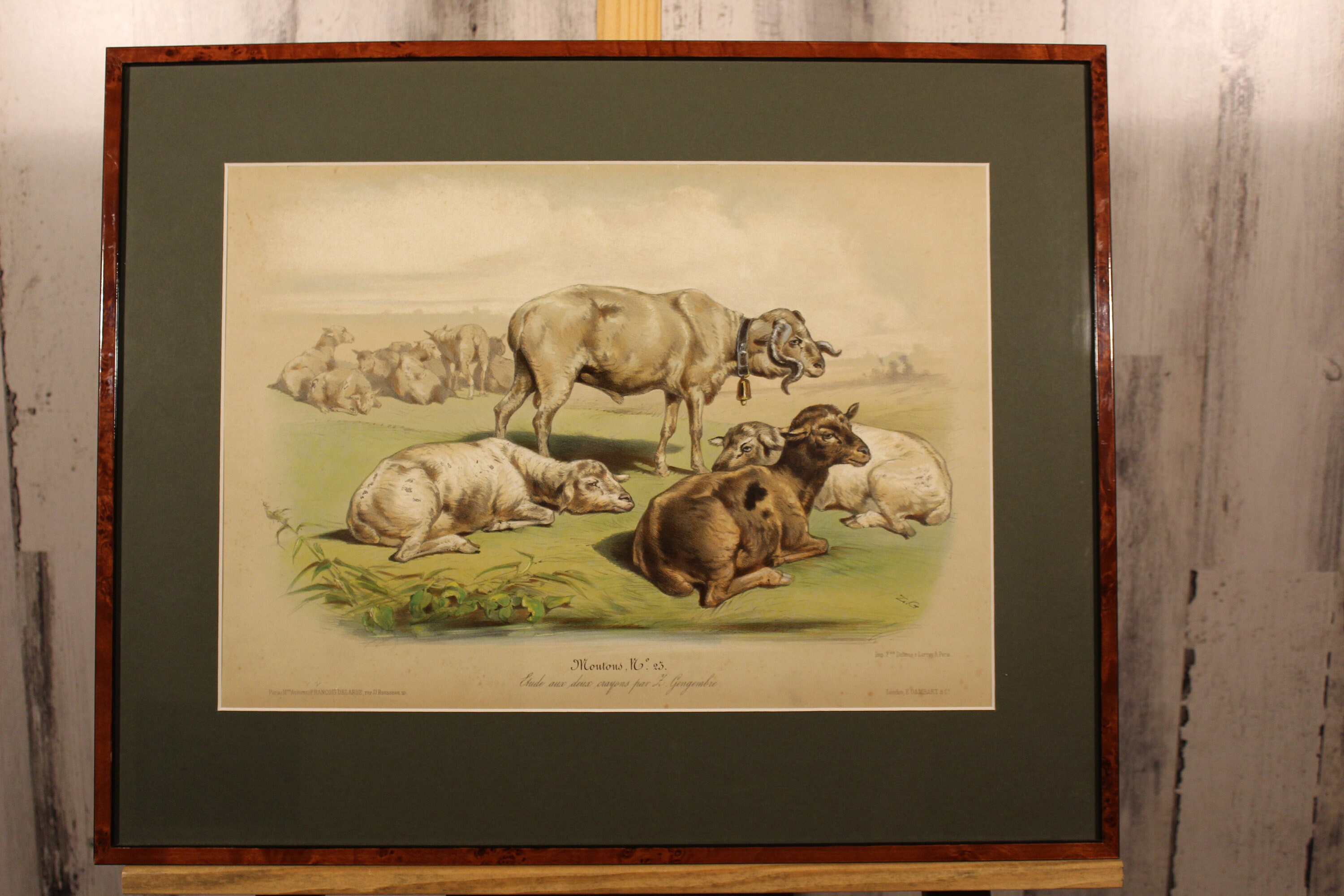 Antique Lost Wolves with Sheep by Schenck 13x8.5