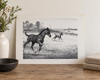 Estampe « Premier essai » de C. W. Anderson, 1948 – Illustration équestre vintage représentant un pur-sang et un poulain. Décoration murale.