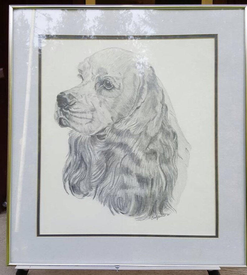 Cocker Spaniel