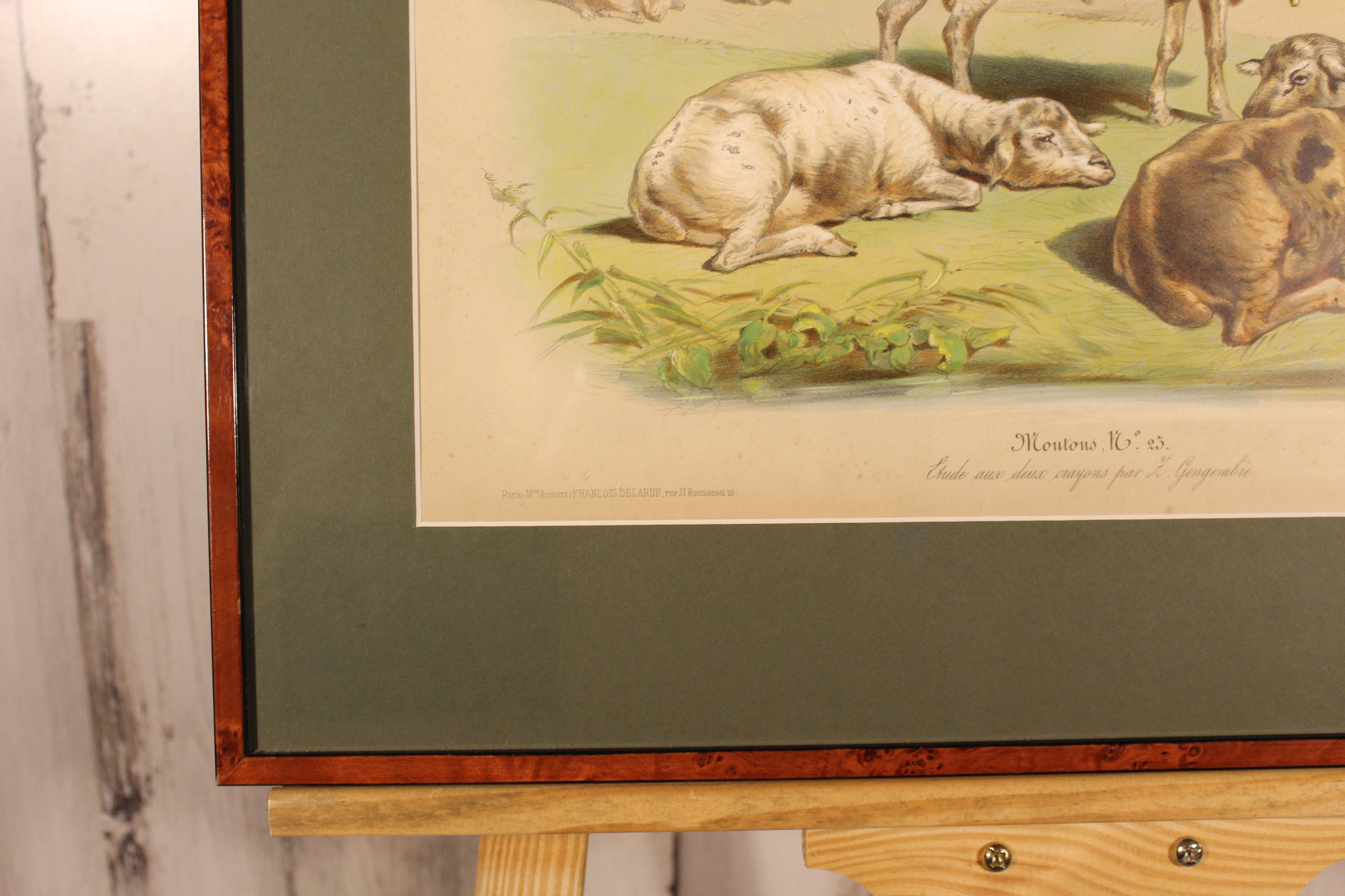 Charming Antique Stone Lithograph of Sheep by Z. Gengembre