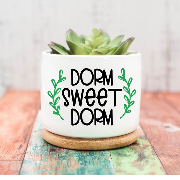 Dorm Sweet Dorm Planter, Dorm Decor Boho, College Student Gift, College Gifts, Gift Idea For Her, Graduation Gift, Succulent Planters