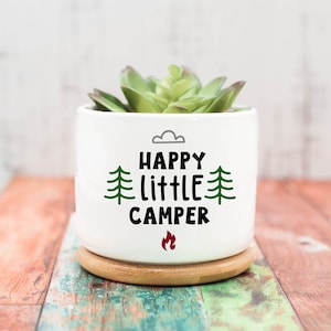 Happy Camper Succulent Happy Camper Succulent