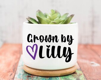 Personalized Planter, Succulent Planter Gift, Gift From Child, Child Planter, Succulent Pot, Gift Idea For Mom, Gift Idea For Grandma