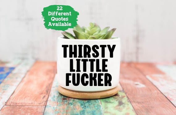 Funny Planters, Adult Humor Gift, Succulent Planter, Planters And Pots, Gift Idea For Her, Gift For Gardener, College Dorm Room Decor