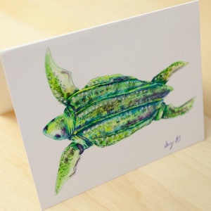 Carte tortue de mer