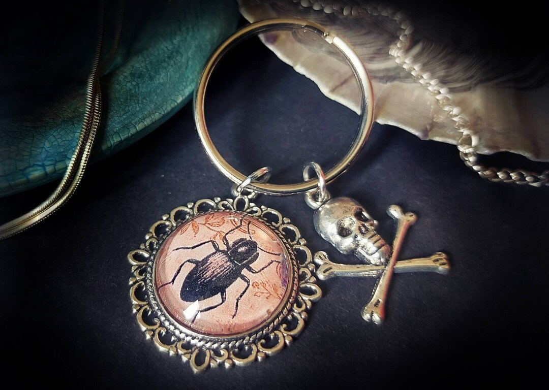 Beetle Keyring Insect Jewellery / Creepy Keychain Gift - Etsy