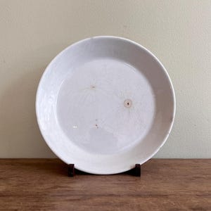 May include: A white ceramic plate with a slightly textured surface. The plate has a wide rim and a shallow center. It is displayed on a dark brown wooden surface against a neutral background. The plate has subtle, decorative markings.