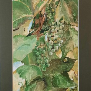 Dipinto "Uva acerba". Il dipinto è dipinto ad olio su carta preparata. Il dipinto è incorniciato da un passe-partout.