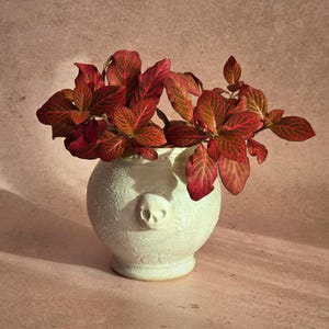 May include: A round, off-white ceramic planter with a textured, crackled surface and a small, molded skull emblem on the front. The planter holds a vibrant fittonia plant featuring deep red leaves with prominent, contrasting green veins.