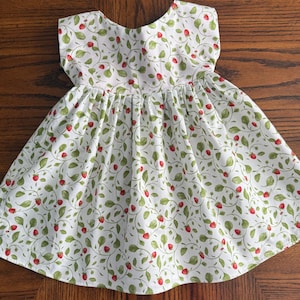 Wild Strawberry Twirly Dress For Girls, Berry First Birthday, Sweet One, Fruit Dress for Girl, Wild and Free, Strawberry Patch Party Dress