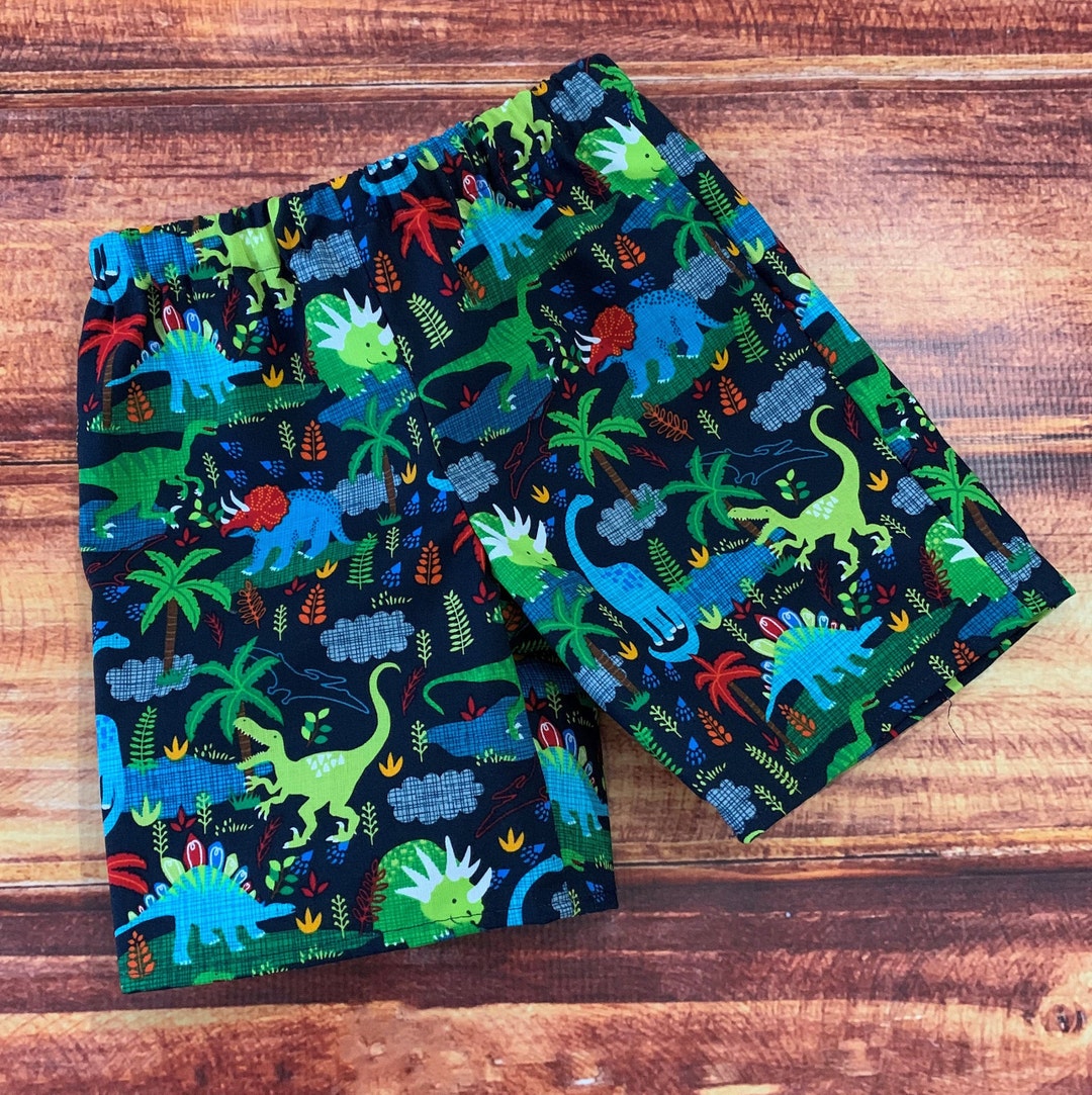 Dinosaur Shorts Dinosaur Birthday Boys Shorts Toddler Boy Shorts