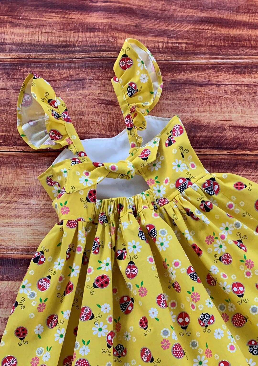 Ladybug Baby Shower, Ladybugs and Bees, Ladybug Twirl Dress, Girls