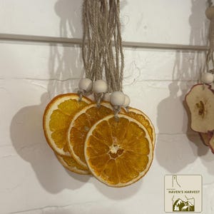 Dehydrated Orange Slice Ornaments – Set of 12 | Rustic Christmas Tree Decor, Eco-Friendly with Twine & Bead