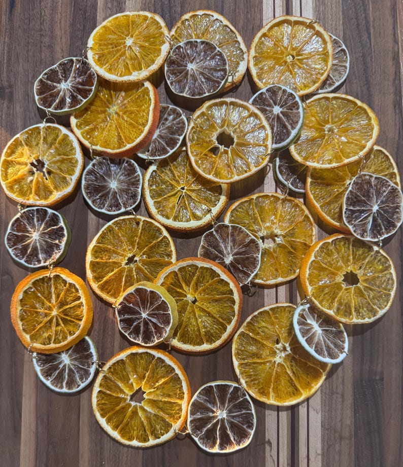 Organic Dehydrated Citrus Garland Christmas Decoration Accent Handmade Wedding Backdrop Bridal Shower Baby Celebration Spring Party Rustic image 6