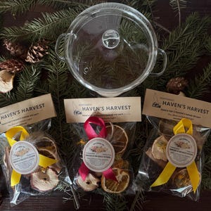 May include: A clear glass pot with a lid and three plastic bags labeled Haven's Harvest, each containing dried fruit slices, spices, and botanicals, tied with yellow or pink ribbons, arranged among evergreen branches and pinecones.