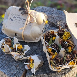 Botanical Firestarters – Egg-Niters | Eco-Friendly Camping Gift, Bonfire & Fire Pit Starter, Christmas Favor