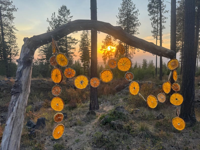 Dried Citrus Garland Christmas Decoration Gold Accent Dehydrated Organic Handmade Wedding Backdrop Natural Orange Lime Slices Bridal Shower Baby Celebration Spring Party Rustic Cottage Boho Style Farmhouse Event Styling Preserved Fruit Display Vintage