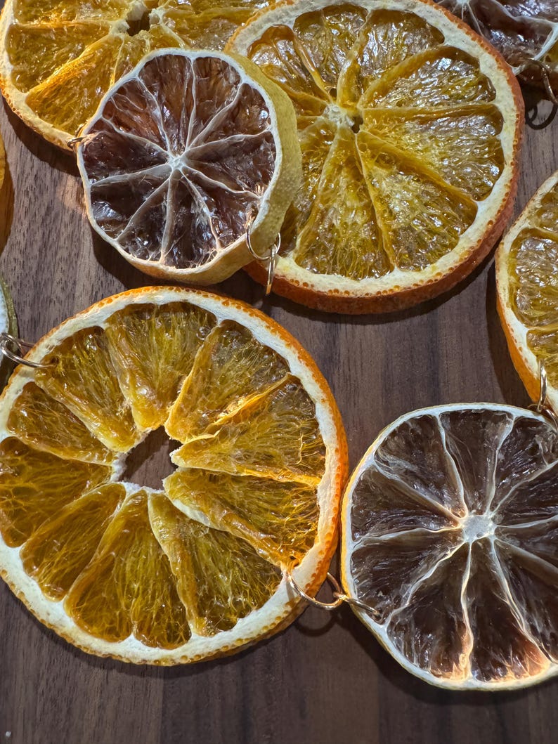 Handmade Wedding Backdrop Bridal Shower Baby Celebration Dried Citrus Garland Spring Party Rustic Cottage Boho Style Natural Dehydrated Orange Lime Slices Gold Accent Organic Christmas Decoration Farmhouse Vintage Display Preserved Fruit Strand