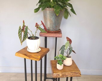 Plant Stand Reclaimed Wood, Indoor Accent Table, 12" Square