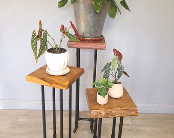 Plant Stand Reclaimed Wood, Indoor Accent Table, 12" Square