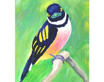 Black & Yellow Broadbill Art Print: Gouache Bird Painting