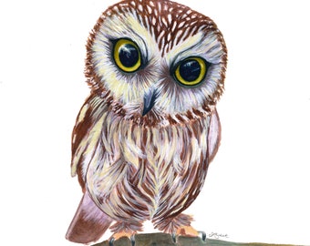 May include: A watercolor painting of a small brown owl with large yellow eyes perched on a branch. The owl is looking directly at the viewer with a curious expression.