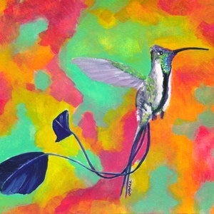 Spatuletail Hummingbird Giclée Print: Colorful Watercolor Bird Art