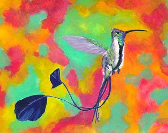 Spatuletail Hummingbird Giclée Print: Colorful Watercolor Bird Art