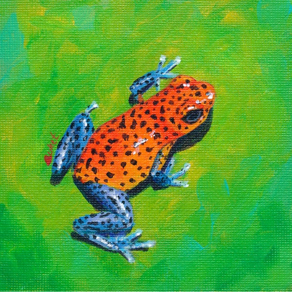 Miss Spotty-strawberry Poison Dart Frog 4x4 GICLEE PRINT 