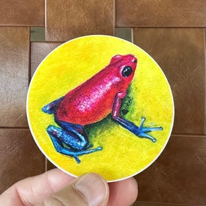 Strawberry Poison Dart Frog 3&quot; Circle Vinyl Sticker-Waterproof Stickers, Laptop, Water Bottle Sticker, Yellow-Pink, Frog Lover Gift