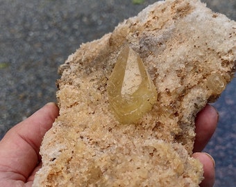 Golden Dogtooth Calcite Museum Specimen