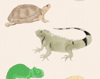 Reptile, clipart, clipart aquarelle, fête reptile, lézard, tortue, gecko léopard, dessiné à la main, art, album numérique
