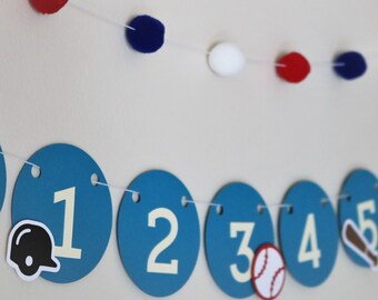 Baseball monthly photo banner  - handmade eco-friendly party supplies