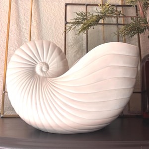 May include: A matte white ceramic vase shaped like a nautilus shell. The object features a prominent spiral center with radiating ridges that extend across the curved body, creating a textured, ribbed surface throughout the entire piece.