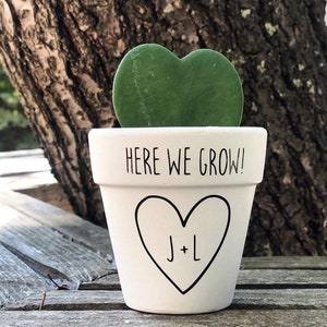 ¡Aquí cultivamos macetas! Maceta para plantas, maceta para suculentas, regalo de compromiso, regalo para ellos, recién casados, juegos de palabras con plantas, juego de palabras con plantas, regalo de boda