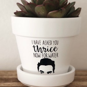 I have asked you thrice now for water planter, schitt’s creek, David rose, schitts creek quote, David rose quote, funny planter pot