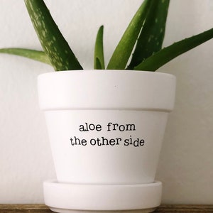 Aloe From the Other Side, Funny Plant Saying, Cute Aloe Vera plant holder, gift idea for friend, plant pun, funny planter, cute aloe pot