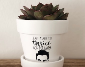 Schitt's Creek David Rose Planter Pot, Funny Water Quote Clay Pot