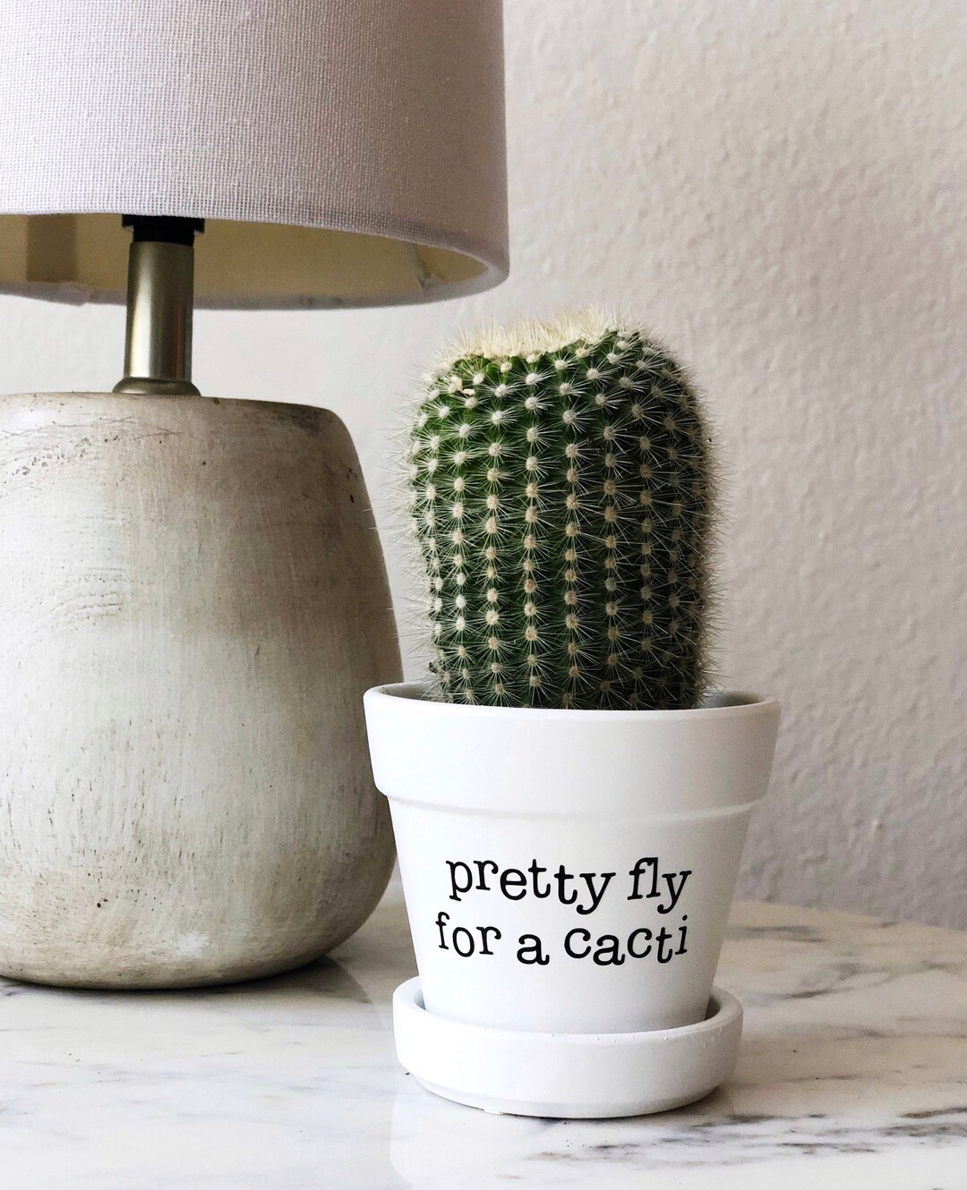 Pretty Fly for a Cacti, Cute Succulent Pot, Funny Cactus Pot, Plant Pun ...