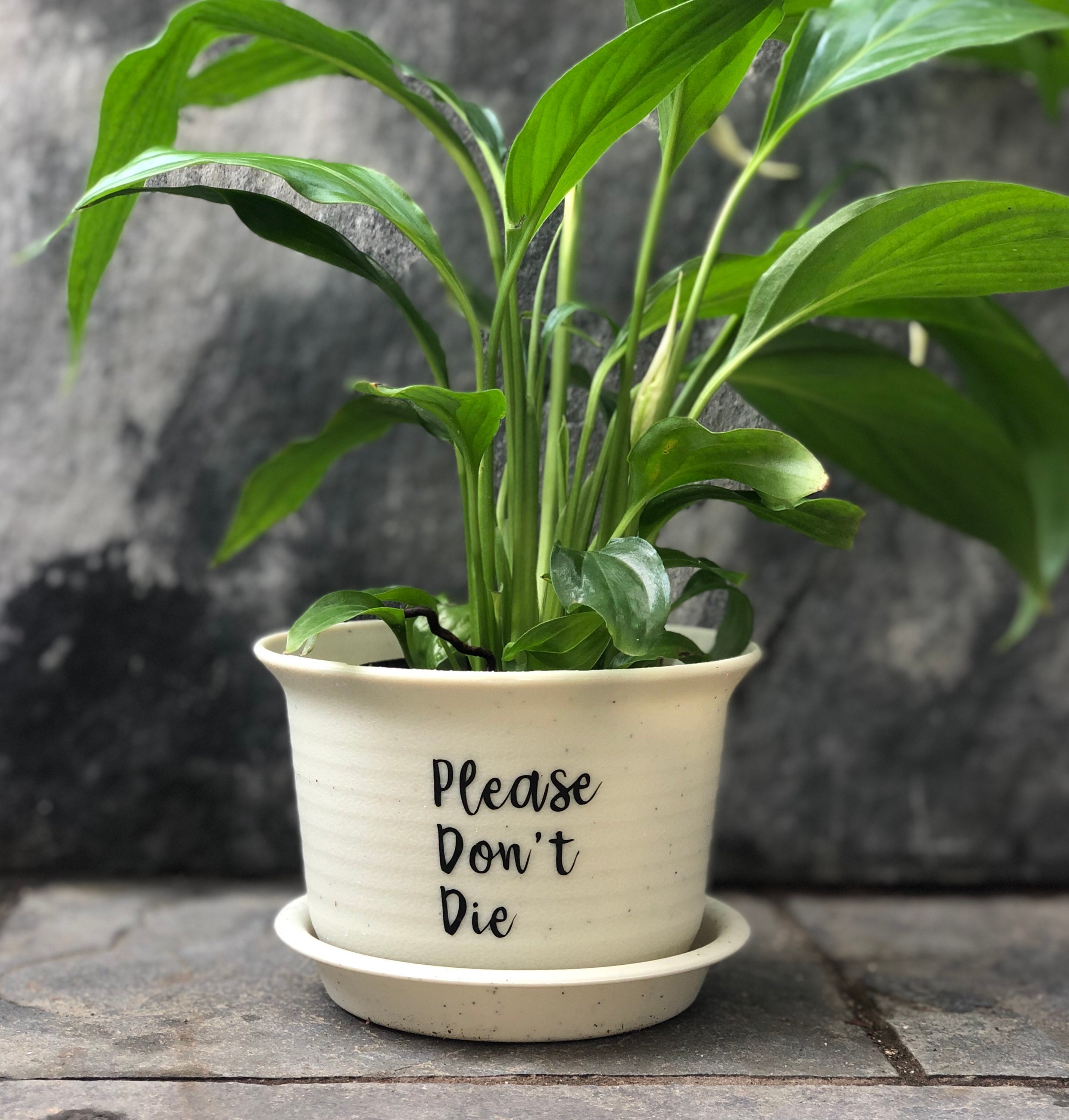 Please dont die plastic planter funny plant pot cute Etsy