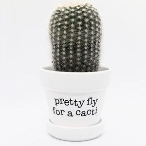 Pretty Fly for a Cacti, Cute Succulent Pot, Funny Cactus Pot, Plant Pun ...