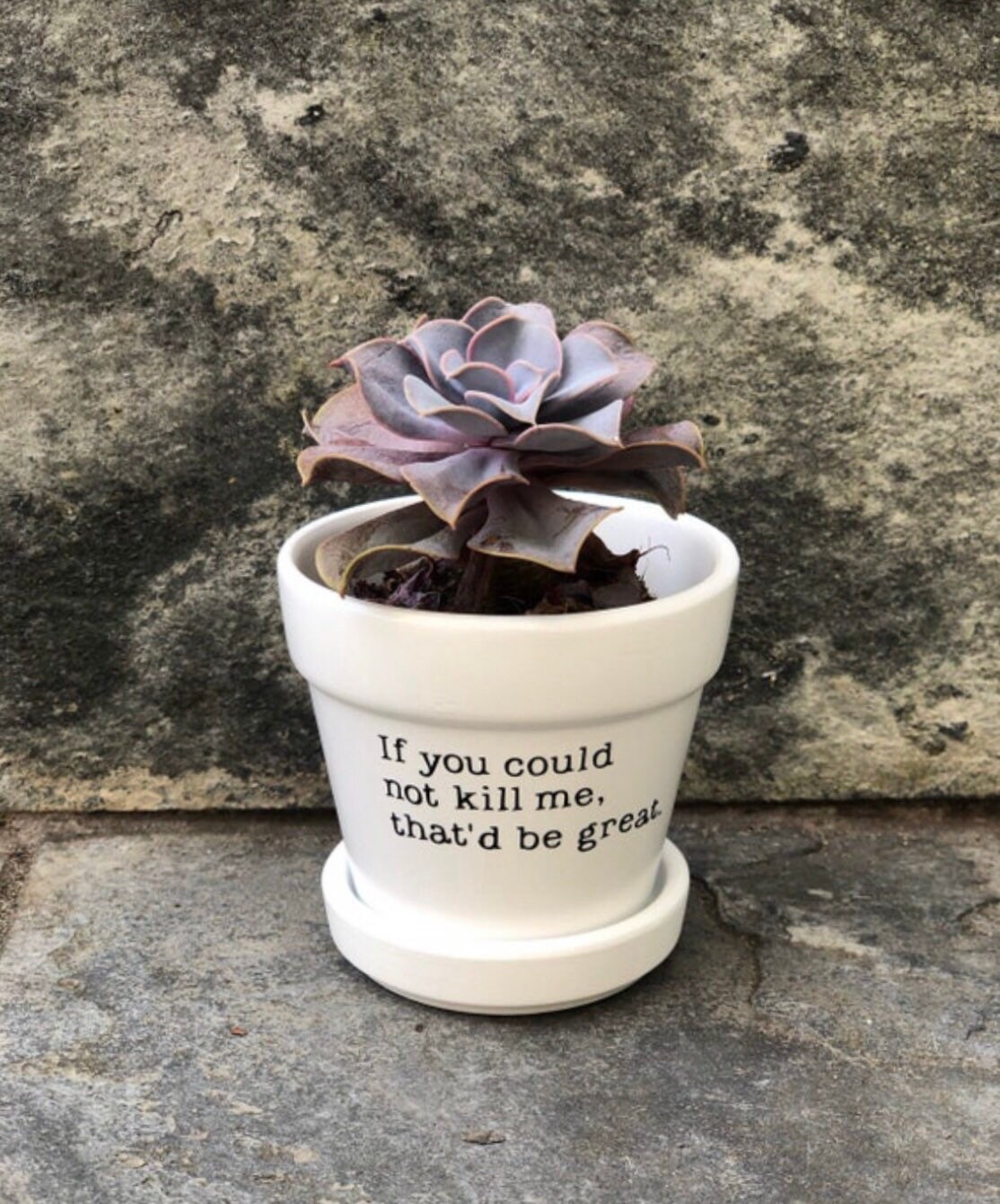 If you could not kill me that’d be great pot, cute plant holder, cute…