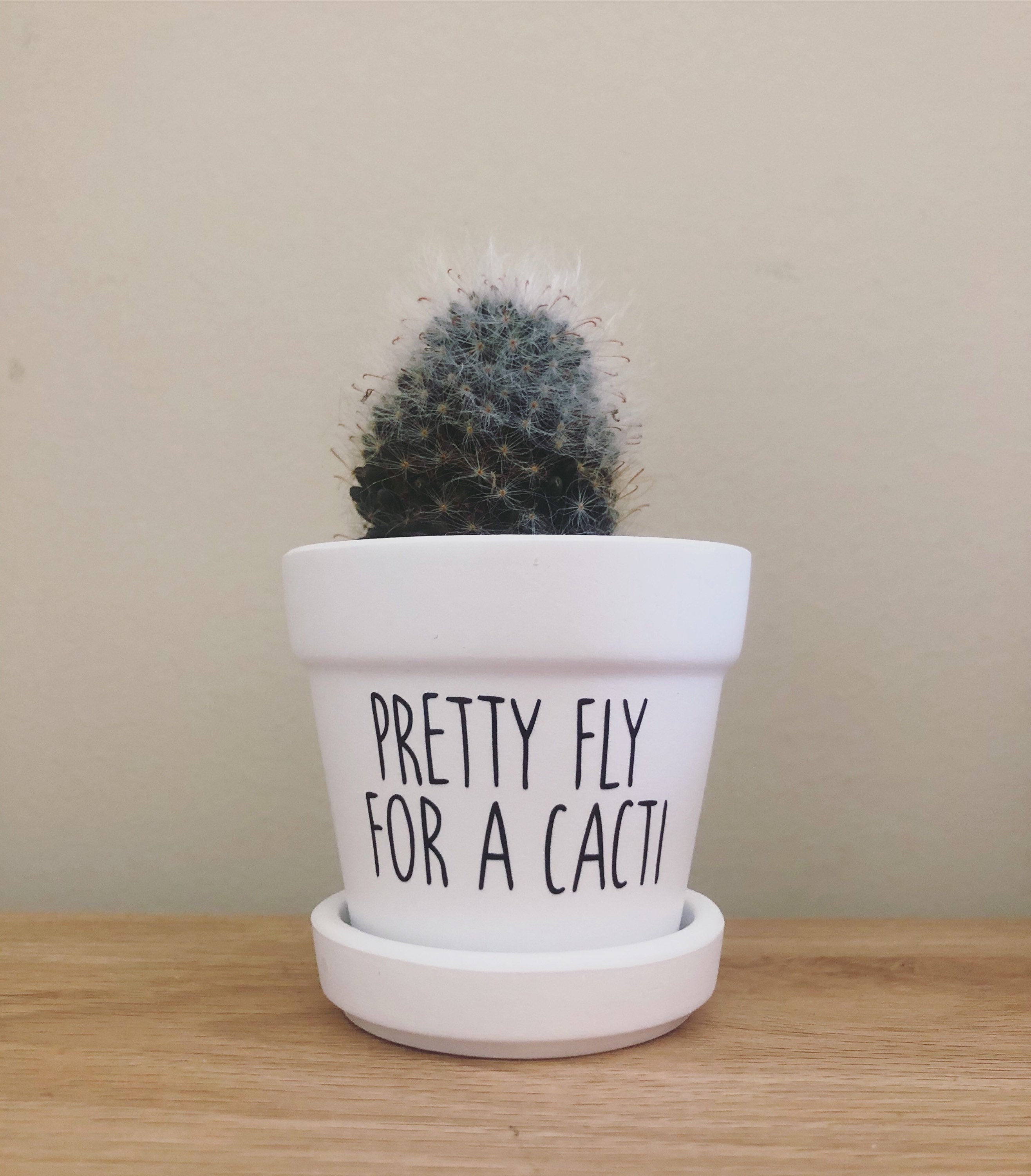Pretty Fly for a Cacti, Cute  Succulent Pot, Funny Cactus Pot, Plant …