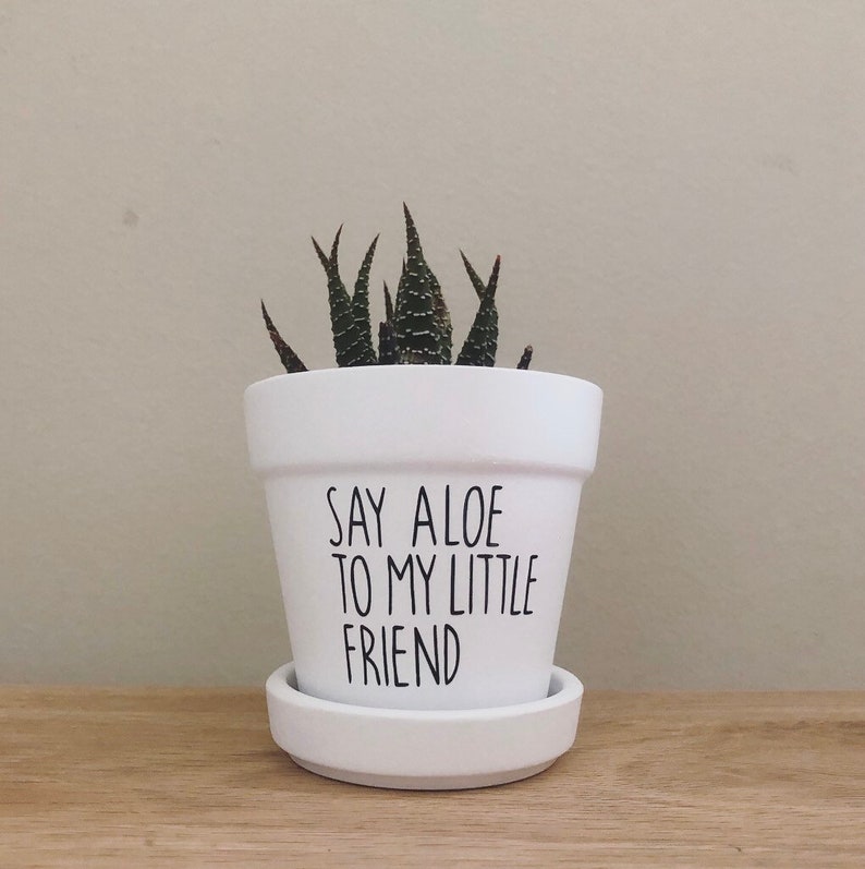 Say Aloe to my Little Friend Pot Cute planter Funny Plant Etsy
