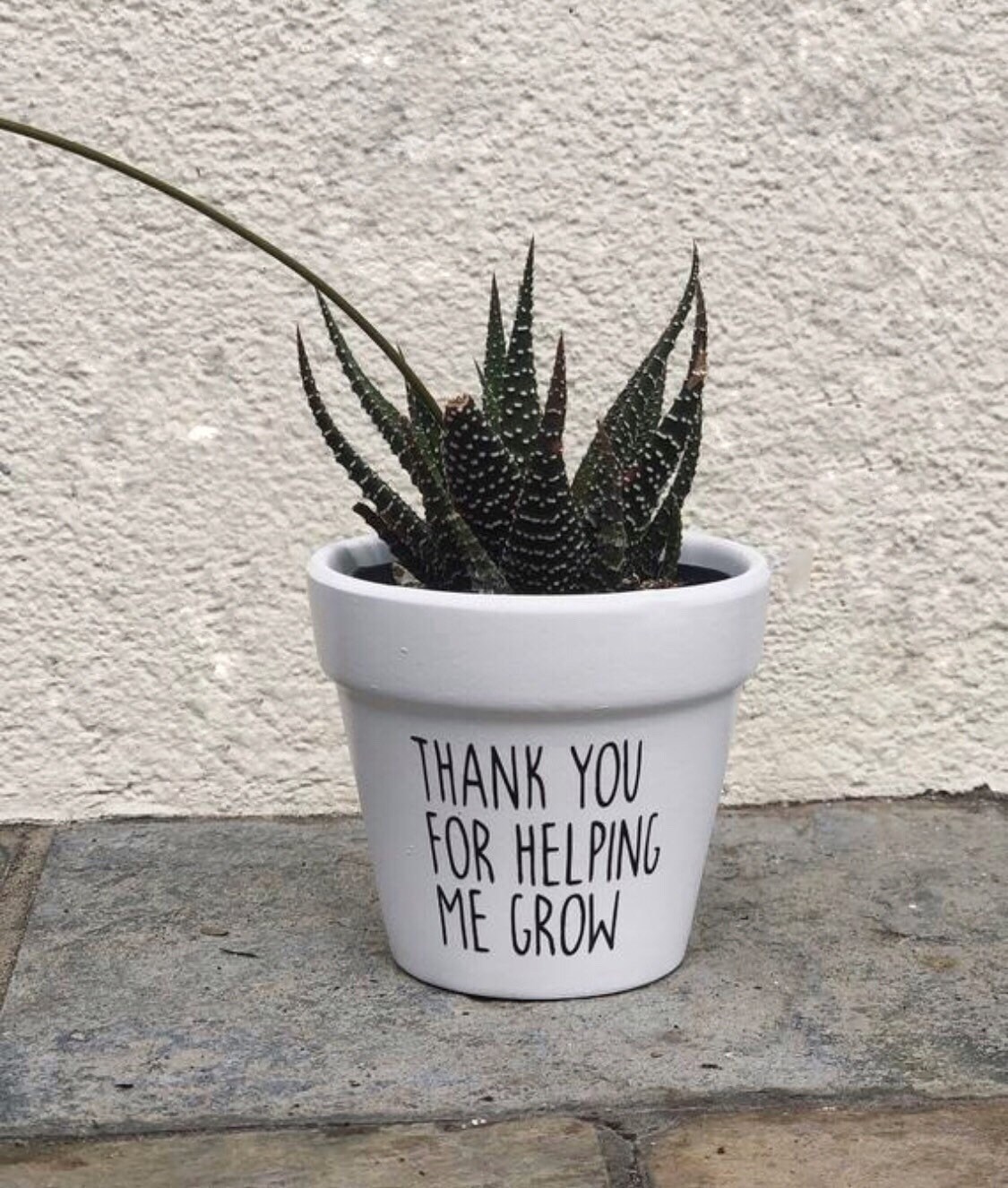 Thank You for Helping me Grow Planter, thank you gift, teacher apprec…