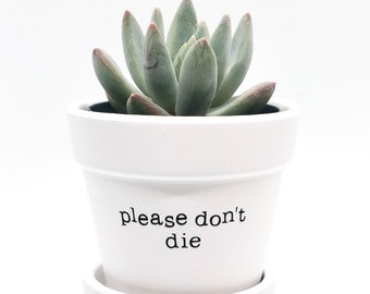 Please Don’t Die Pot, plant holder, succulent pot, funny gift idea, plants, cute home and garden decor, pun, funny quote