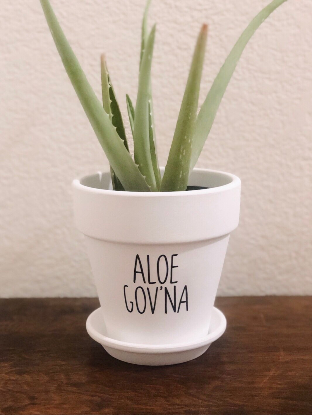 Aloe Gov’na, Funny Plant Pot, Plant Pun, Plant Holder, Funny Gift Ide…